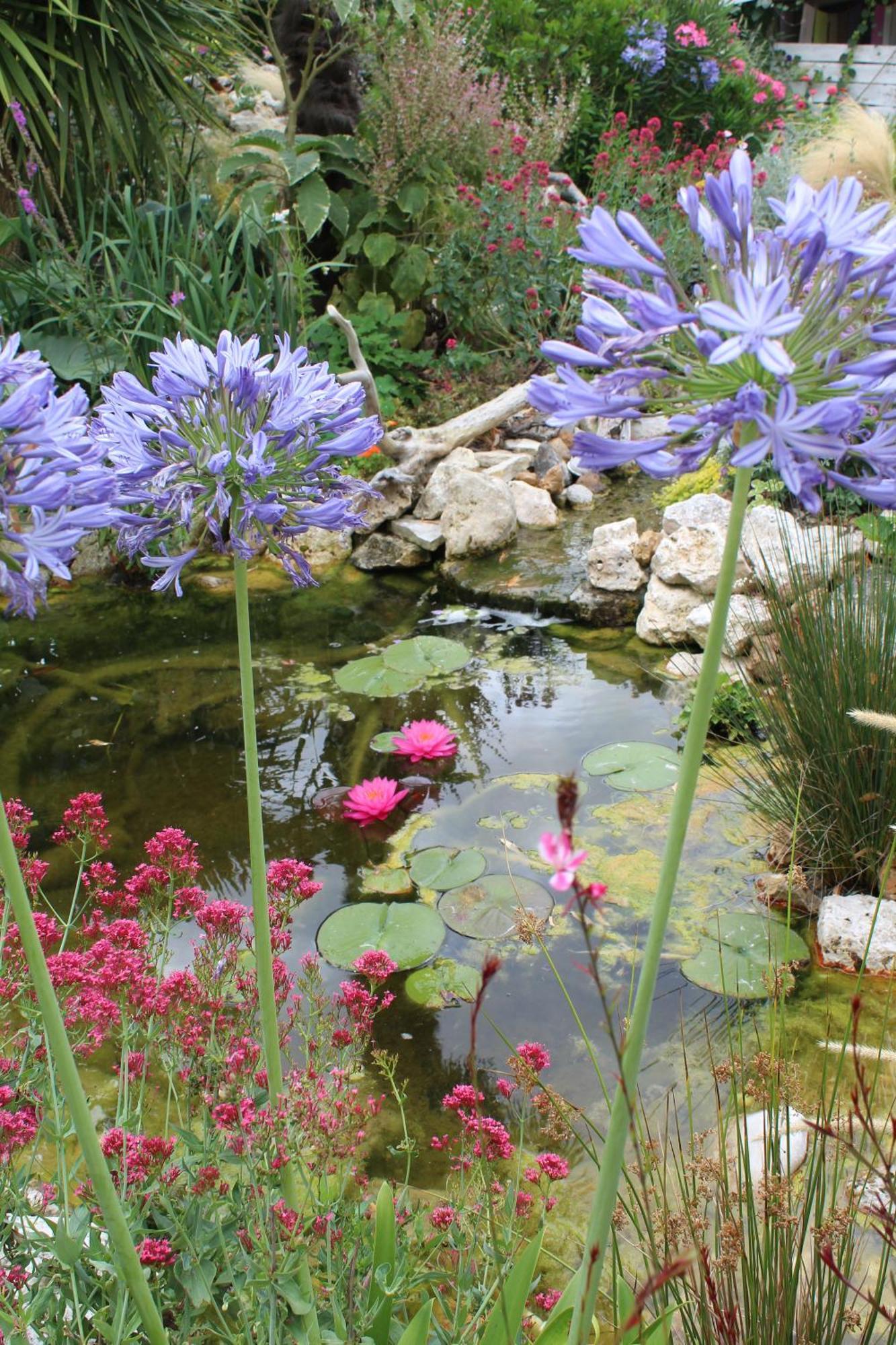 Bed and Breakfast La Douce Charentaise Mérignac Esterno foto